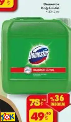 DOMESTOS DAĞ ESİNTİSİ